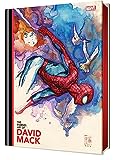 The Marvel Art of David Mack