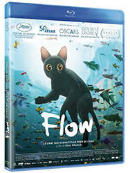 Flow [Blu-ray] FR